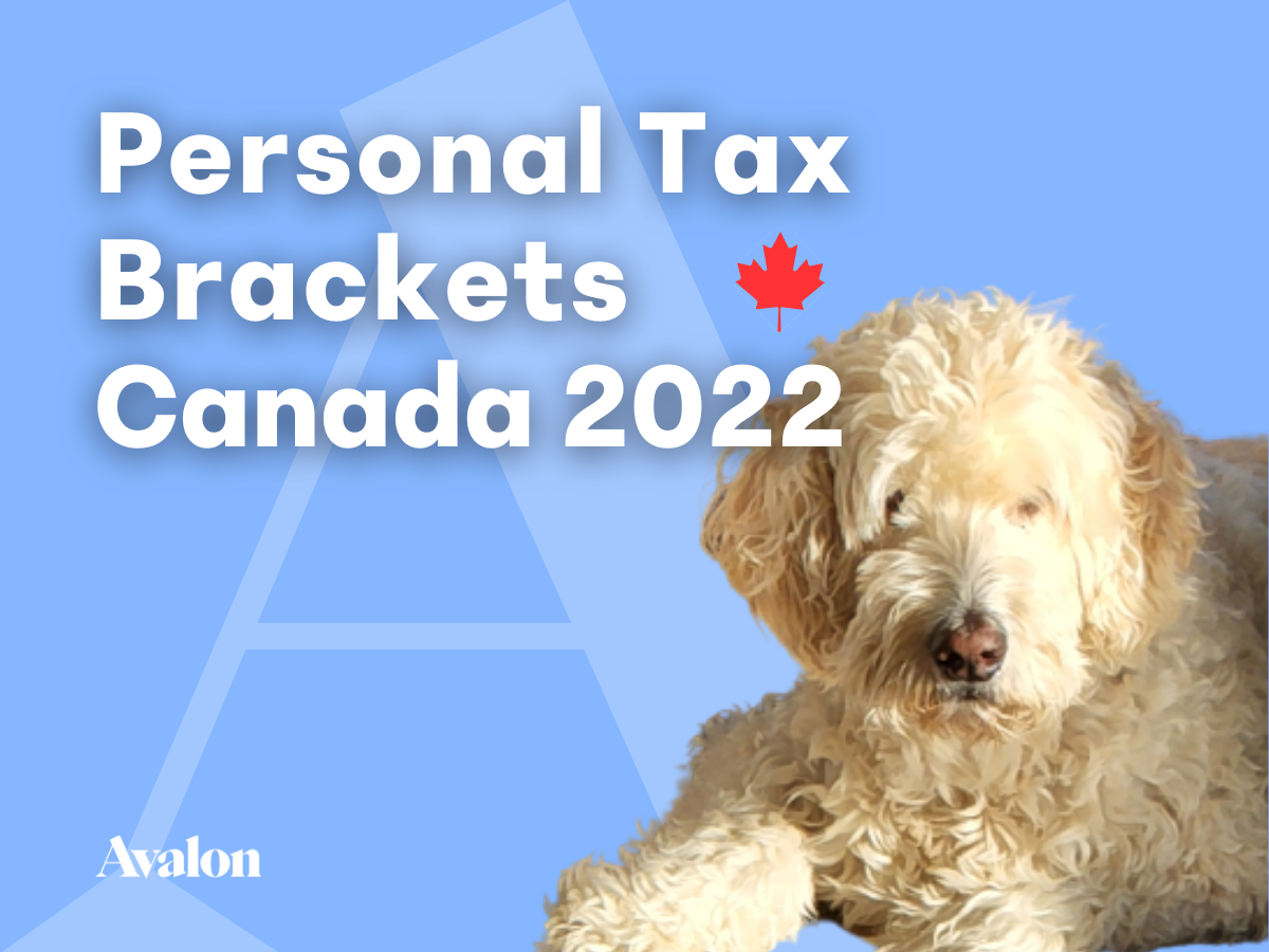 Tax Brackets Canada 2022 Blog Avalon Accounting